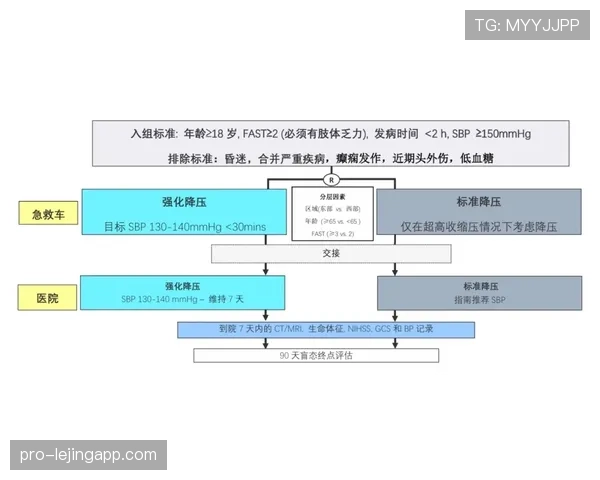 抗议判罚的正确流程与裁判权威如何平衡解析 抗议判罚的正确流程与裁判权威如何平衡解析